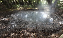 Mud Pool Rotorua