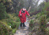 Tony on track to Tahune Hut