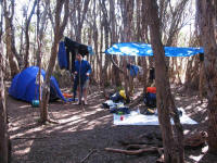 Campsite at Junction Creek