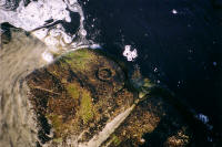 Carving at South Cape Rivulet