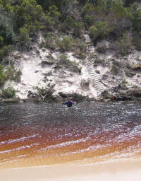 Steps at Milford Creek