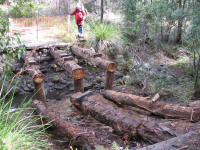 Destroyed bridge Robeys Creek