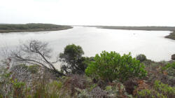 Sea Elephant River Estuary