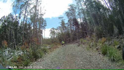 White Timber Trail Blue Metal