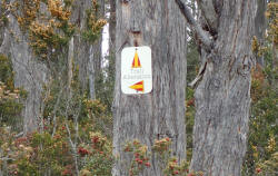 TT Sign White Timber Trail