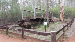 Ruins of One Tree Bridge