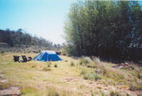 Campsite Reynolds Neck, Great Lake