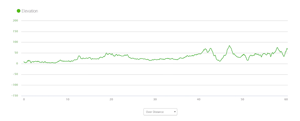 Elevation Bridport to Gladstone