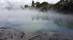 Rotorua Thermal Pond