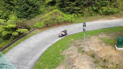 On the Luge