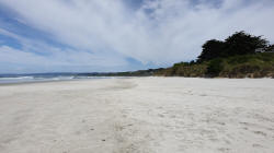 Beach South of Dunedin