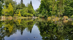 Pond Queenstown Gardens