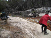 Lunchtime at Hidden Bay